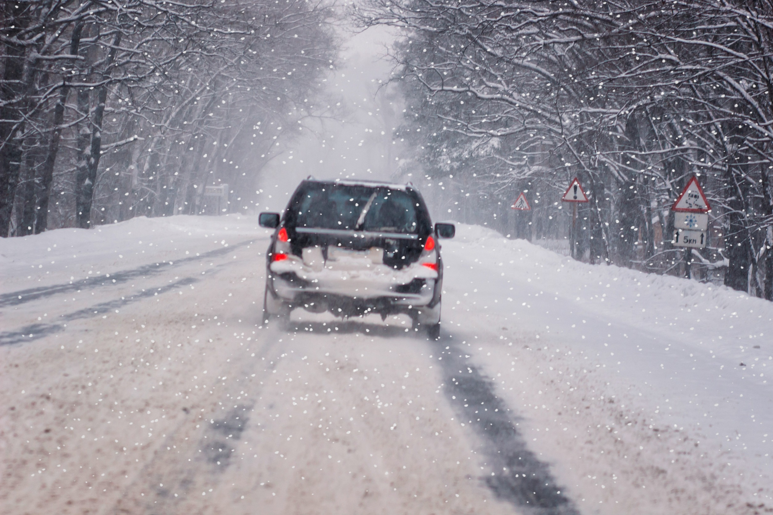 A car navigates a snow-covered road amid bare trees, embodying a true Minnesota Winter. Snowflakes fall heavily, obscuring visibility. Traffic signs peek through their snowy blankets, capturing the wintry essence of this winter-ready scene.